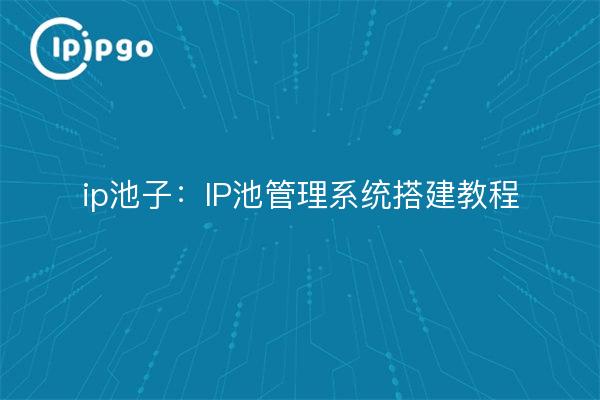 ip pool: Anleitungen zum Aufbau eines IP-Pool-Management-Systems