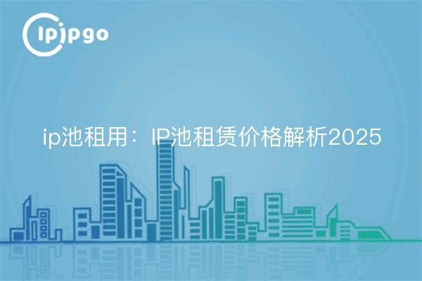 IP Pool Leasing: Análisis de precios del IP Pool Leasing 2025
