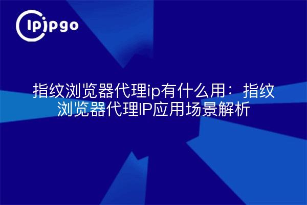 Fingerprint Browser Proxy IP What's the use: Fingerprint Browser Proxy IP Application Scenario Analysis