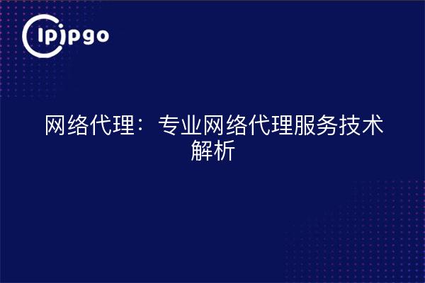 Web Proxy: Technical Analysis of Professional Web Proxy Services