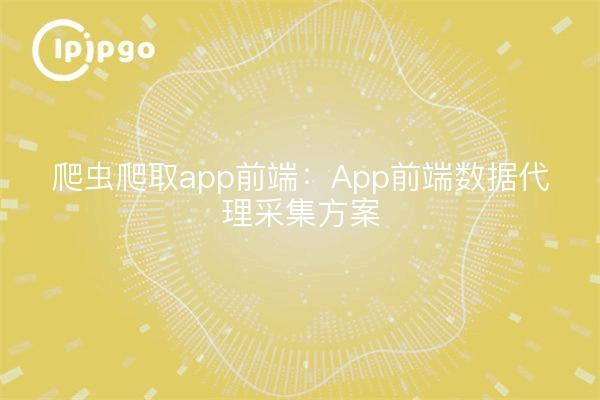 Crawler que rastrea el front-end de la aplicación: esquema de recogida de datos proxy del front-end de la aplicación