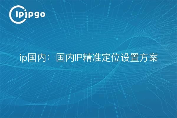 ip domestic: domestic IP accurate positioning setting program