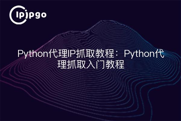 Python代理IP抓取教程:Python代理抓取入门教程