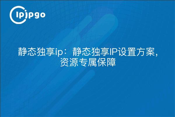 静态独享ip:静态独享IP设置方案,资源专属保障