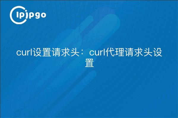 curl设置请求头：curl代理请求头设置