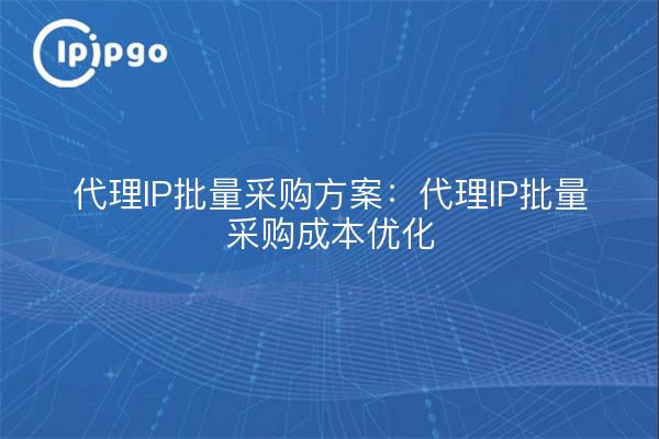 代理IP批量采购方案：代理IP批量采购成本优化
