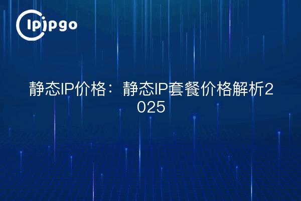 静态IP价格:静态IP套餐价格解析2025
