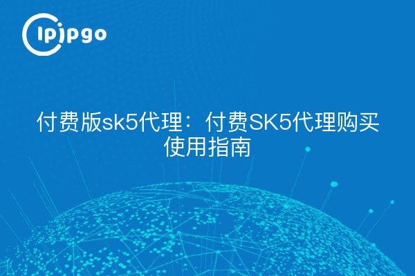 付费版sk5代理:付费SK5代理购买使用指南