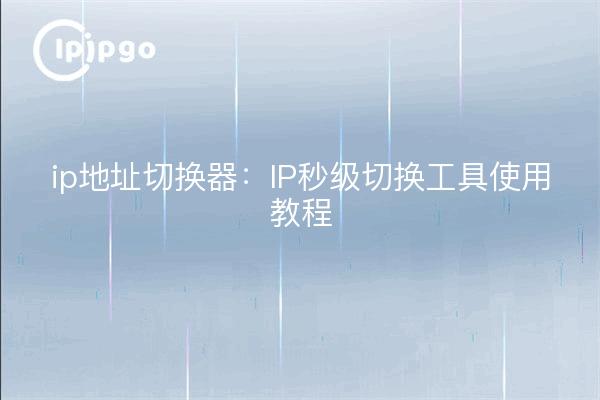 ip address switcher: IP segunda herramienta de conmutación uso tutorial