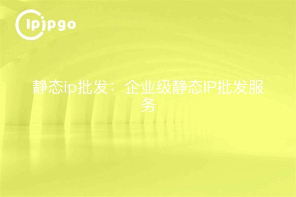 Vente en gros d'adresses IP statiques : service de vente en gros d'adresses IP statiques au niveau de l'entreprise