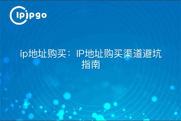 Achat d'adresses IP : guide d'évitement des canaux d'achat d'adresses IP