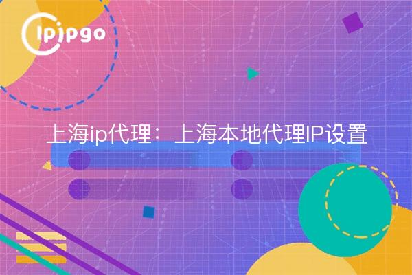 Shanghai ip proxy : paramètres IP du proxy local de Shanghai