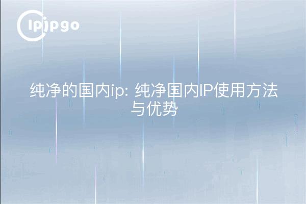 Propriété intellectuelle nationale pure : comment utiliser la propriété intellectuelle nationale pure et ses avantages