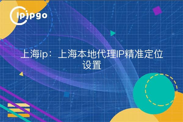 上海ip:上海本地代理IP精准定位设置