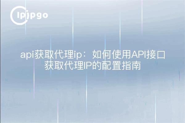 api获取代理ip:如何使用API接口获取代理IP的配置指南