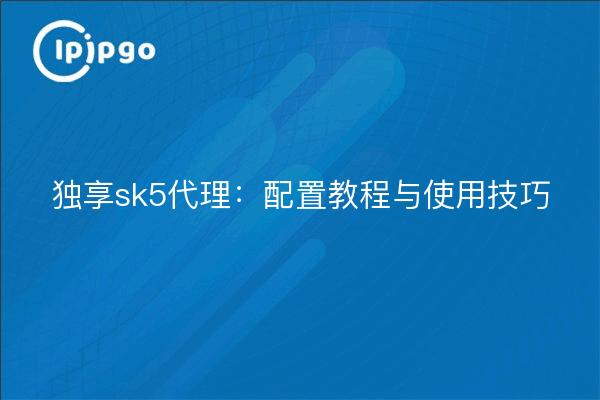 Dedicated sk5 proxy: configuration tutorials and usage tips