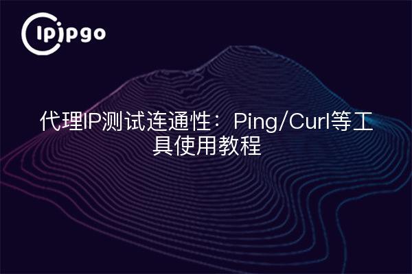 代理IP测试连通性：Ping/Curl等工具使用教程