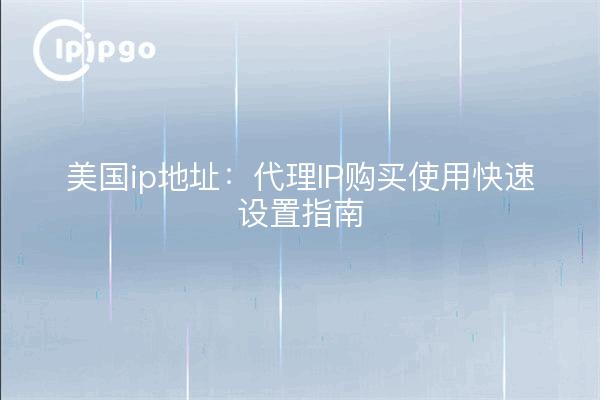 美国ip地址：代理IP购买使用快速设置指南