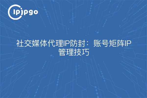 社交媒体代理IP防封:账号矩阵IP管理技巧