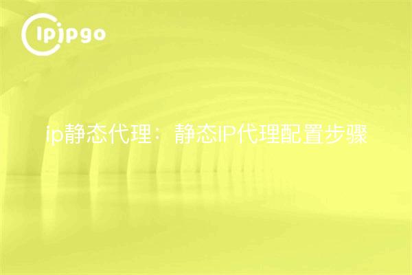 ip static proxy: pasos de configuración del proxy IP estático