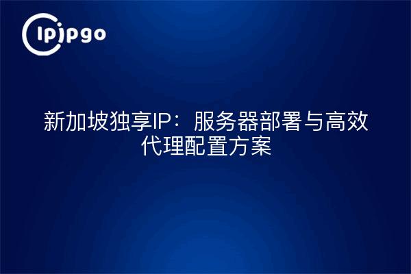 新加坡独享IP：服务器部署与高效代理配置方案