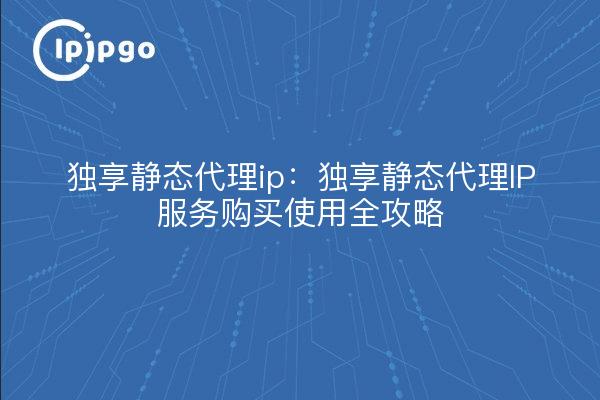 独享静态代理ip:独享静态代理IP服务购买使用全攻略