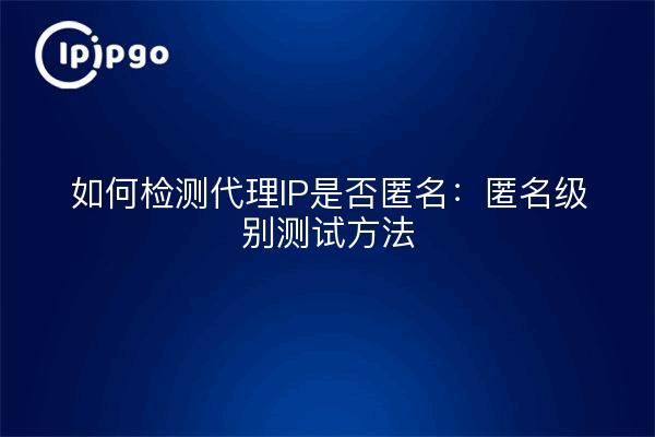 如何检测代理IP是否匿名:匿名级别测试方法