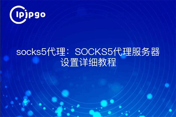 socks5代理：SOCKS5代理服务器设置详细教程