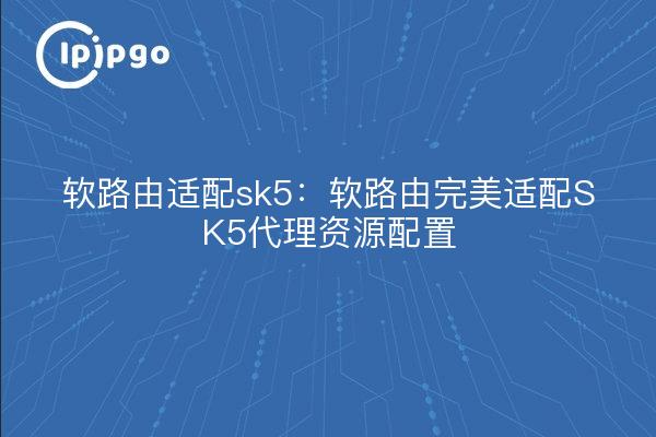 SoftRoute Adaptation for SK5 : SoftRoute Perfect Adaptation for SK5 Configuration des ressources proxy