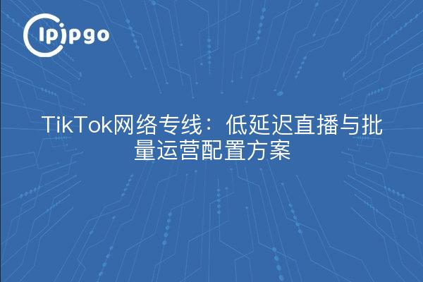 TikTok网络专线：低延迟直播与批量运营配置方案