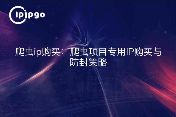 爬虫ip购买：爬虫项目专用IP购买与防封策略