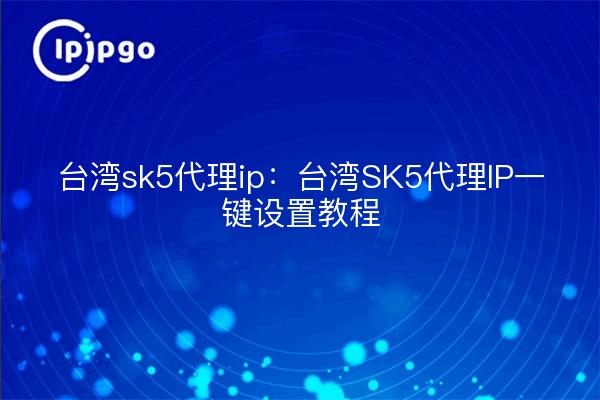 台湾sk5代理ip:台湾SK5代理IP一键设置教程