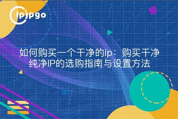 如何购买一个干净的ip:购买干净纯净IP的选购指南与设置方法