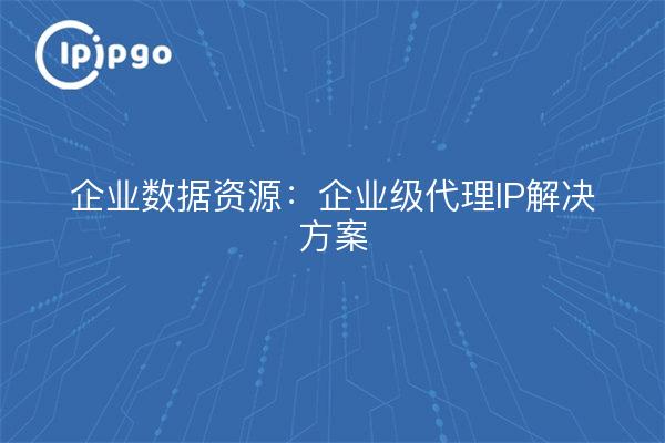 企业数据资源：企业级代理IP解决方案