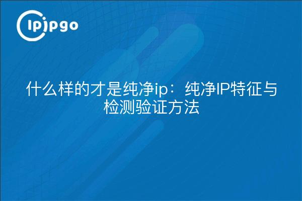 什么样的才是纯净ip:纯净IP特征与检测验证方法