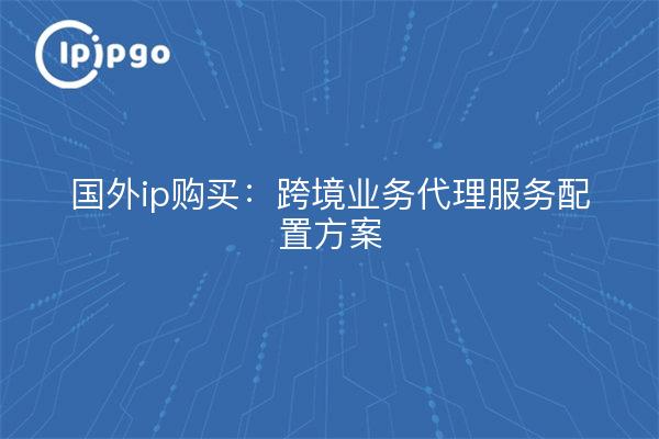 国外ip购买：跨境业务代理服务配置方案