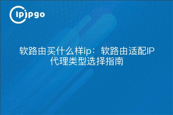 软路由买什么样ip:软路由适配IP代理类型选择指南