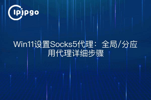 Win11设置Socks5代理：全局/分应用代理详细步骤