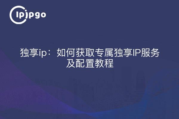 独享ip：如何获取专属独享IP服务及配置教程