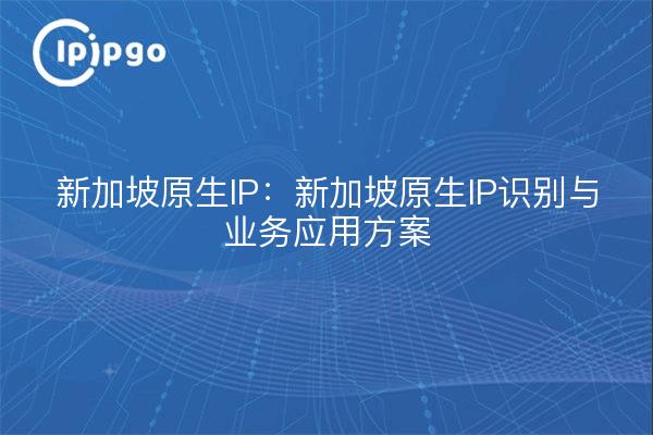 新加坡原生IP:新加坡原生IP识别与业务应用方案
