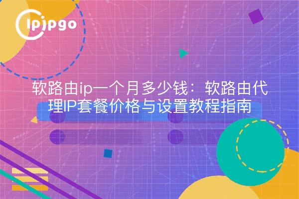 软路由ip一个月多少钱:软路由代理IP套餐价格与设置教程指南