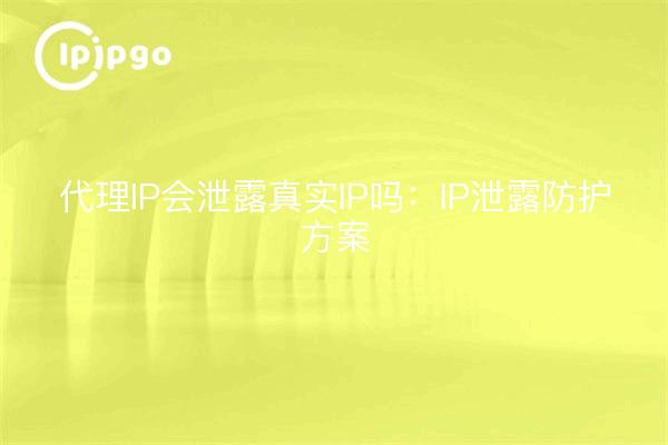 代理IP会泄露真实IP吗:IP泄露防护方案