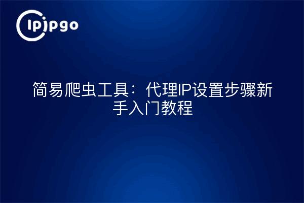 Outil de recherche simple : étapes de configuration de l'IP proxy tutoriels pour débutants