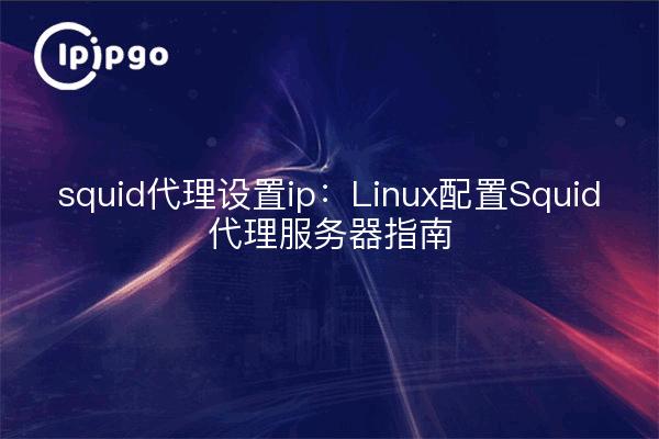 squid代理设置ip：Linux配置Squid代理服务器指南