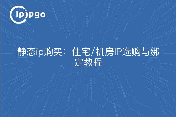 Static ip purchase: residential / server room IP purchase and binding tutorial