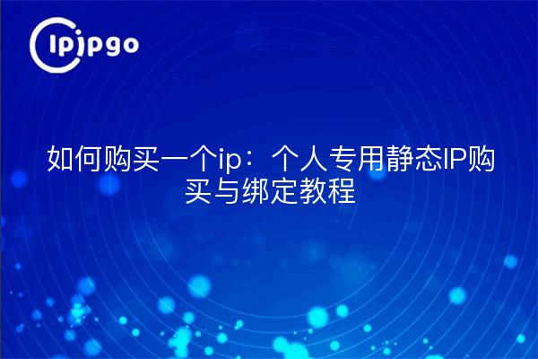 如何购买一个ip：个人专用静态IP购买与绑定教程