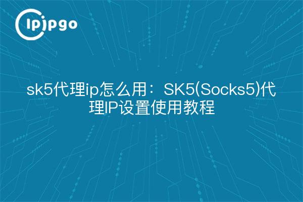 sk5代理ip怎么用:SK5(Socks5)代理IP设置使用教程