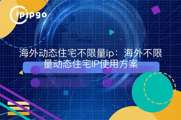 海外动态住宅不限量ip:海外不限量动态住宅IP使用方案