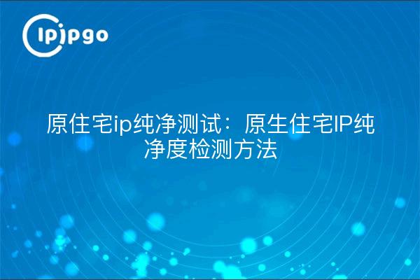 原住宅ip纯净测试：原生住宅IP纯净度检测方法