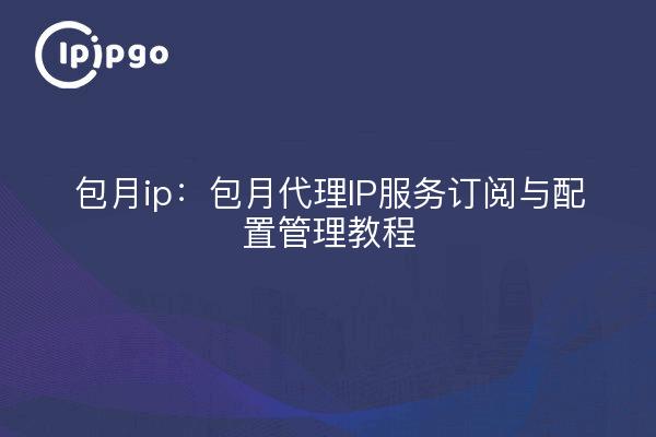 IP mensual: Suscripción mensual al servicio de IP proxy y tutoriales de gestión de la configuración.